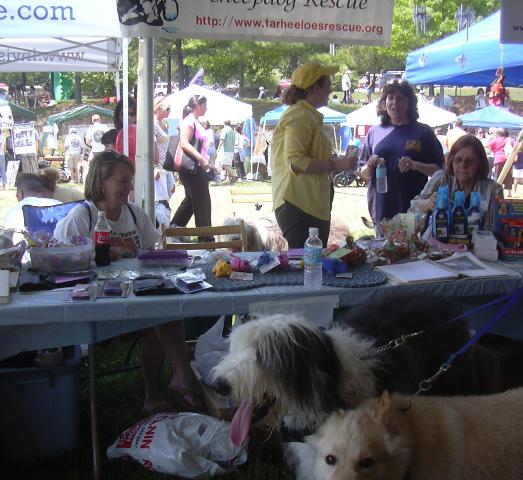 /images/events/11/Bark in the Park 2008 004.jpg